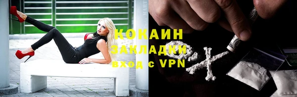 mdpv Снежногорск