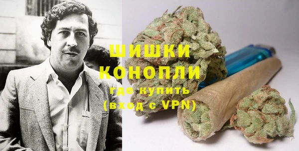 mdpv Снежногорск