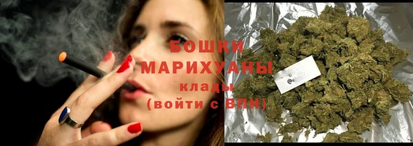 mdpv Снежногорск