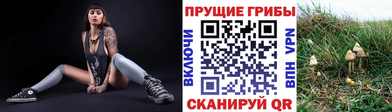Купить  Вязьма  Галлюциногенные грибы прущие грибы 