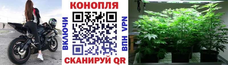 Купить где  Вязьма  Каннабис VHQ 
